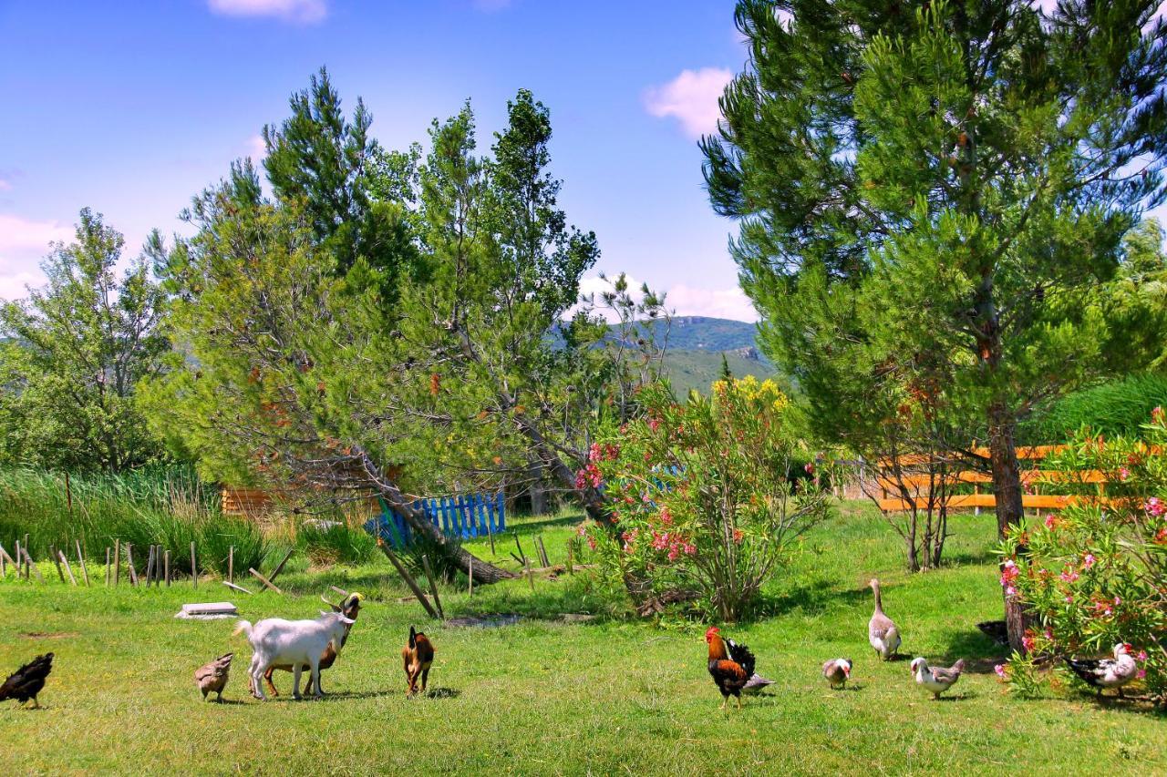 Camping La Peiriere Tuchan ภายนอก รูปภาพ